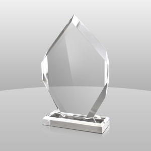 prémio de troféu de acrílico personalizado de qualidade premium 