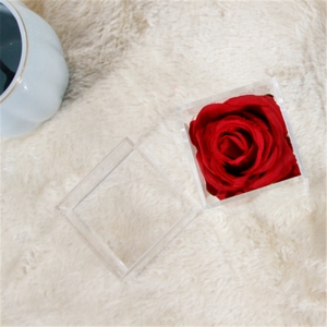 Caixas de rosa impermeável mini buraco único para presente lindo 