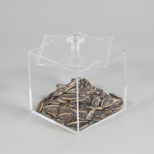 Plexiglass quadrado pequena caixa de acrílico transparente 