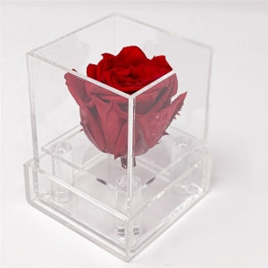 mini caixa de acrílico transparente rosa para flores em perspex 