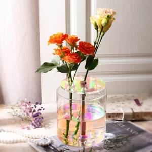 vaso de flor de acrílico especial para decoração de casa
    <!--放弃</div>--> 