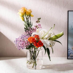 vaso de flor de acrílico especial para decoração de casa
    <!--放弃</div>--> 