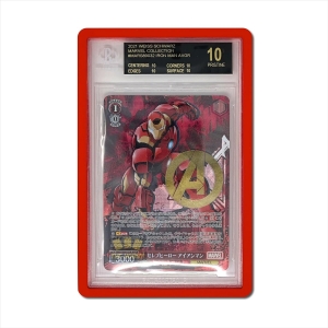 Guarda para cartões classificados BGS 