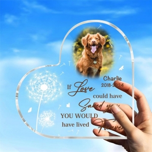 Placa de animais de estimação de acrílico decorativo em forma de coração para sala de estar 