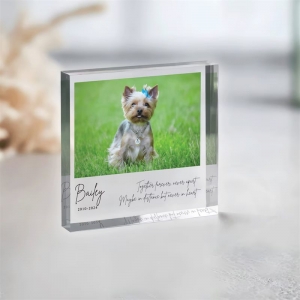 Presentes de quadro de quadros de foto acrílico OEM para aniversários 