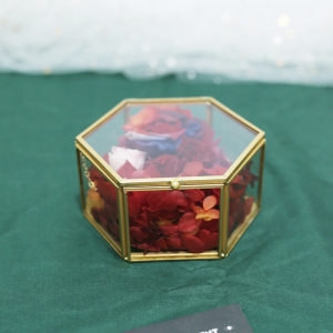 Caixa de joias de vidro hexagonal personalizada Yageli 