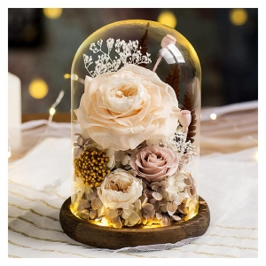 cobertura de cúpula de plástico transparente