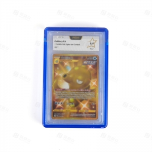 Protetores de Cartões de Classificação Personalizados 