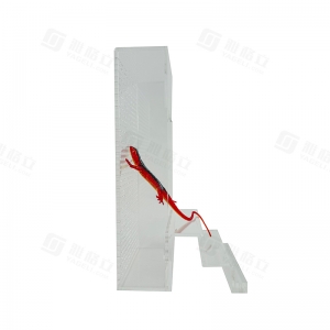 Recinto vertical para animais de estimação em acrílico resistente aos raios UV, ideal para escalada. 